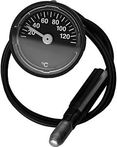 Bosch Thermometer 87172080270 Ersatzteil