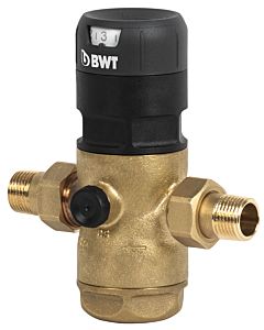 BWT D1 Druckminderer 125300274 1/2" 85.25