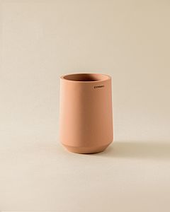 Cosmic Saona Stand-Toothbrush Holder WJC219A0051403 85 x 85 x 115 mm, blossom