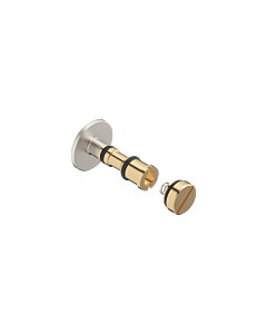 Dornbracht maintenance set 12863970-06 matt platinum