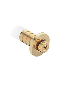 mamelon Dornbracht WT-WD EHM 9024031080090 brut