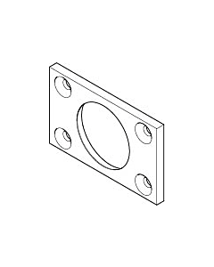 Dornbracht plaque côté douche Eau 09110213890 brute