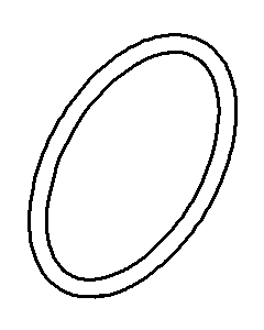 Dornbracht O-Ring 29 x 2 EPDM 70 W 09141013790 100x60x2