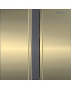 Geberit Infrarot-Urinal-Steuerung Typ 50  116036QF1 mit elektronischer Spülauslösung, Batteriebetrieb, gebürstet / messing