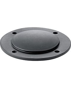 Geberit Druckplatte zu 115.117 u 115.118 892604001 zu 115.117 und 115.118