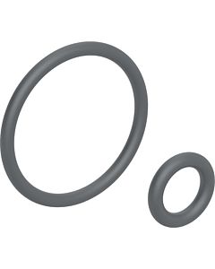 Geberit O-Ring für Duscharm 242176001 zu Geberit AquaClean 4000 / Sela