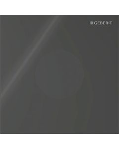 Geberit Type 40 urinal control 116024SJ1 electronic, mains operation, round, black