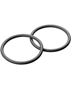 Grünbeck seal kit 101639e, 2 pieces, for fine filter FS-B 1 1/2&quot;/2&quot;