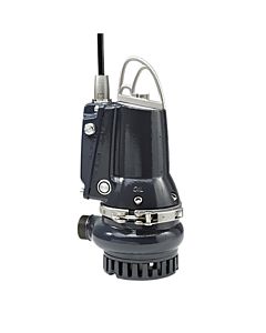 Grundfos pompe à eau sale 96877504 fonte grise, 10 m Kabel , DP10.50.15.E.EX.2.50B, R 2 AG