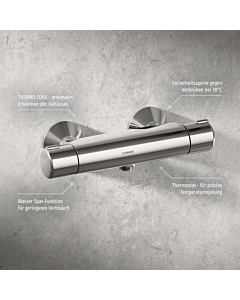 Hansa Brausethermostat Hansamicra 58150171 chrom, Aufputz