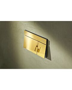 hansgrohe iFrame Element E Betätigungsplatte 66003990 für 2-Mengen-Spülung, Metall, polished gold optic