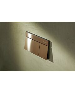 hansgrohe iFrame Element E Betätigungsplatte 66003140 für 2-Mengen-Spülung, Metall, brushed bronze