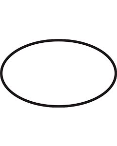 hansgrohe o-ring 48 x 5 mm 98174000