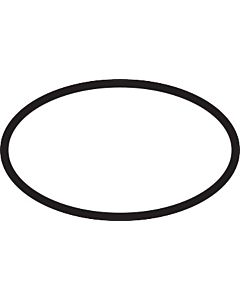 hansgrohe O-Ring 28 x 2 mm 98194000