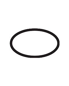 hansgrohe O-Ring 21 x 1,5 mm 98219000