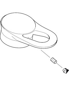 hansgrohe Mitigeur de lavabo Axor Mondaro 18091090 et chromé bidet chromé / aspect doré