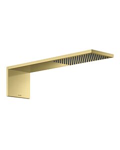 hansgrohe ShowerComposition Kopfbrause 12592950 110x220mm, Wandmontage, 1jet, brushed brass