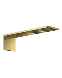 hansgrohe ShowerComposition head shower 12592990 110x220mm, wall mounting, 1jet, polished gold optic