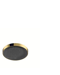 hansgrohe Rainfinity shower 26229990 1jet, ceiling / wall mounting, 9 l / min, polished gold optic