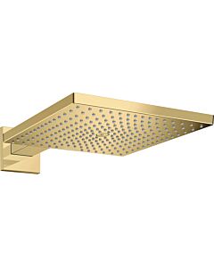 Pommeau de douche hansgrohe Raindance E 26239990 Bras de douche 390 mm, 1 jet, 9 l/min, aspect or poli