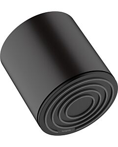 hansgrohe Pulsify S douche de tête 24132670 Vert, noir mat, 1jet