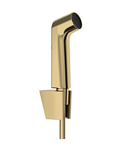 hansgrohe Bidette Handbrause 1jet 29238990 EcoSmart, mit Duschkopfhalterung und Duschschlauch 125 cm, Polished Gold Optic