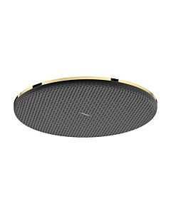 hansgrohe Raindance Alive S Duschkopf 24521990 1 Strahlart, wassersparend, 300mm, EcoSmart, polished gold optic
