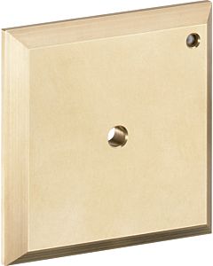 hansgrohe Spülplatte iControl manuell, chrom