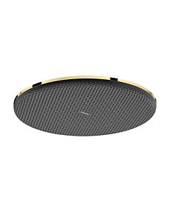 hansgrohe Raindance Alive S Kopfbrause 24523990 300mm, EcoSmart+, max. Durchfluss bei 3 bar 6 l/min, polished gold optic