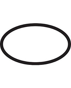 hansgrohe O-Ring 24 x 3,5 98084000