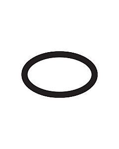 hansgrohe O-ring 12 x 2 mm transp. 98214000