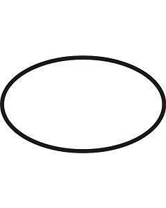 hansgrohe O-Ring 43x3mm 98418000