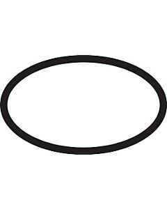 hansgrohe O-ring 21.95 x 1.78 mm 95169000