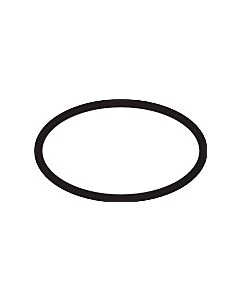 hansgrohe O-Ring 21 x 1,5 mm 98219000
