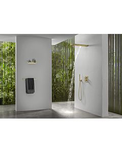 Herzbach Design iX PVD Regenbrause 21.661600.2.41 Brass Steel, 537x165mm, Wandmontage