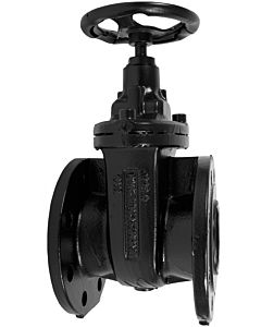 Jung Pumpen Keilflachschieber DN 80