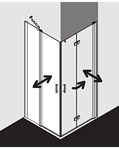 Kermi Diga half Diga entry swing door with fixed panel DIEPL10020VPK 100x200cm, on DW, silver high gloss, TSG clear clean, left