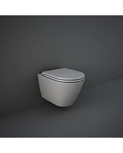 RAK Feeling WC seat RSTSC3901503, sandwich, soft close, grey matt