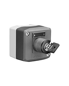 Schell surface key switch 015380099 230 V, IP 65, thermal disinfection