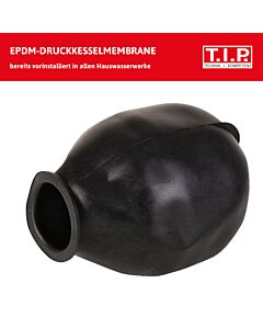 T.I.P. Hauswasserwerk - Guss, 2.800 l/h, 42 m Förderhöhe, 600 W, 18 l Druckkessel, robust, HWW 900/25, 31300