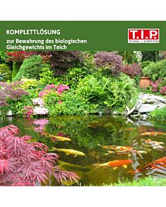 Kit de filtres de bassin TIP - pour bassin de 4 000 l, 2000 l/h, UV-C 9 W, avec pompe/matériel filtrant, MTS 4000 UV 9, 30296