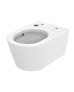 TOTO wall-mounted washdown toilet CW542ERY 38x58cm, rimless, white