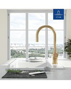 Villeroy und Boch kitchen Flex 92540003 11.5 l / min, extendable, gold