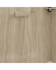 Villeroy & Boch Universal Showers Handbrauseschlauch TVC00003400064 1600mm, PVC, brushed nickel black
