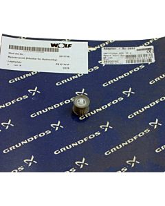 Wolf bypass valve 250mbar 207070699 for CGG