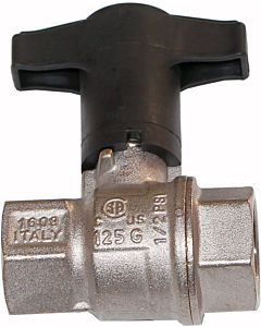 Wolf vanne à bille IG 2000 &quot; DVGW 2071447 pour LS