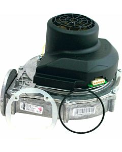 Wolf gaz match0 213695699 RG-148 Boost