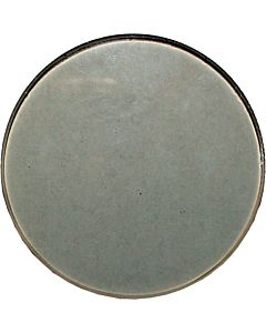 Wolf Schauglas D71,5x5 2483131 für MK350-530