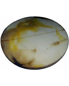 Wolf Wärmedämmung Deckel 2484351 für SPU-2-3000 H