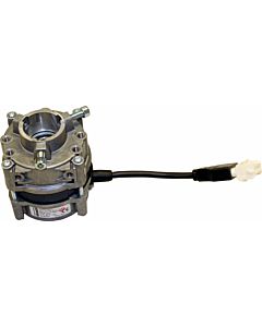 Wolf motor for oil pump 248497599 for TOB-18, PG078